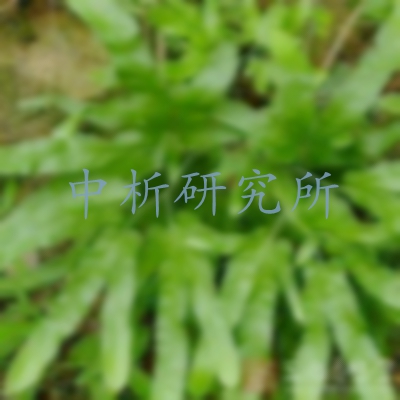 千金藤素檢測