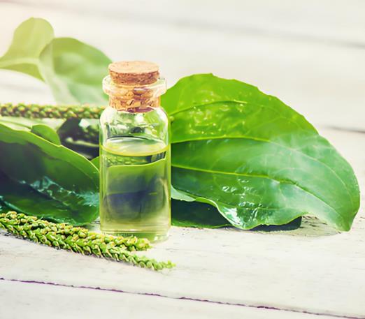 植物提取物檢測