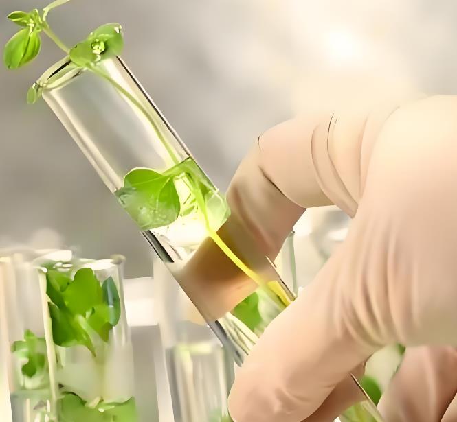 植物提取物檢測