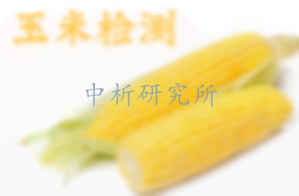 玉米檢測(cè)