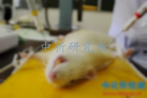 毒理學(xué)試驗(yàn)