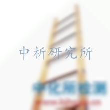梯子檢測