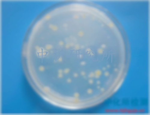 糞大腸菌群檢測
