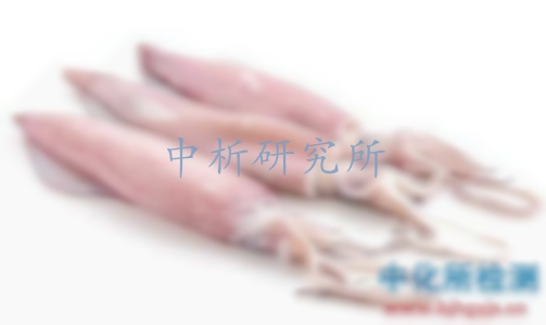 魷魚檢測
