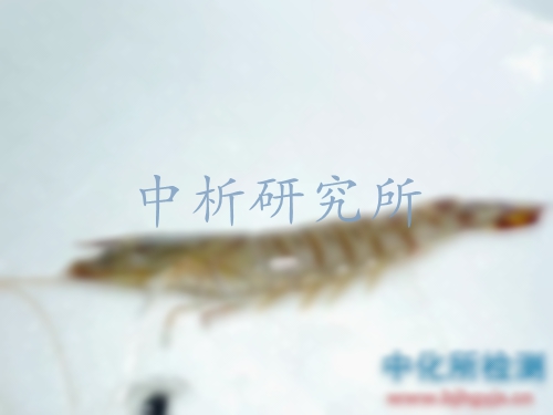 揮發(fā)性鹽基氮檢測(cè)