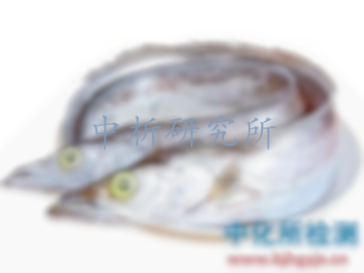 帶魚檢測