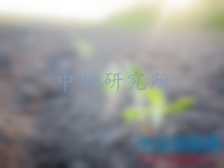 過氧化氫酶活性測(cè)定