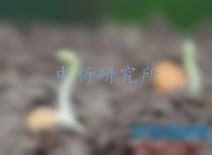 發(fā)芽試驗