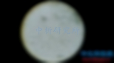 霉菌總數