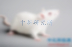 代做實驗
