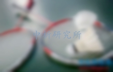 羽毛球拍檢測