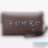 皮包檢測
