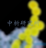 金黃色葡萄球菌檢測