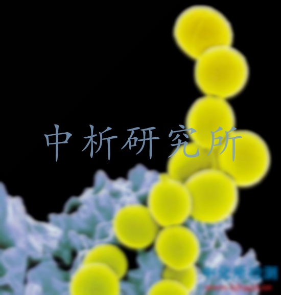 金黃色葡萄球菌檢測