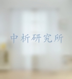 窗紗檢測