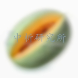 哈密瓜檢測(cè)