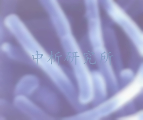 嗜酸乳桿菌檢測