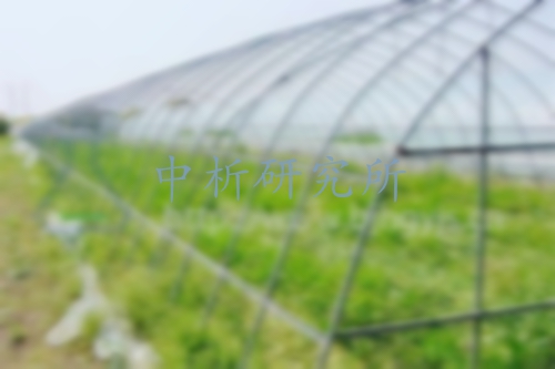阿維菌素檢測