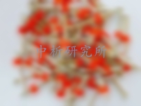射釘檢測