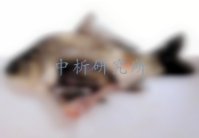 藻毒素檢測