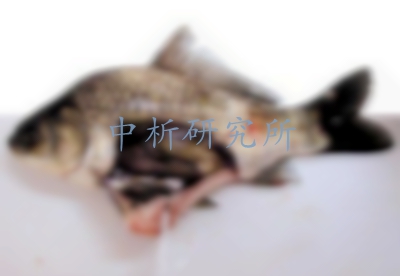 藻毒素檢測