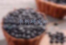 這些黑豆檢測項目你一定用得上