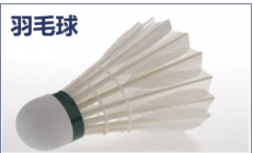 羽毛球檢測