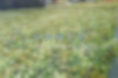 偽裝網(wǎng)檢測(cè)