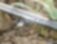 滴灌帶檢測(cè)