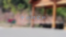 負離子檢測