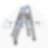 伸縮梯檢測報告