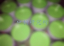 耐溶劑性檢測