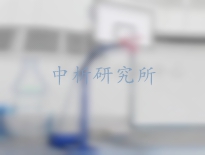 籃球架檢測