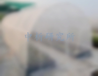 防蟲網檢測