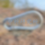 登山扣檢測