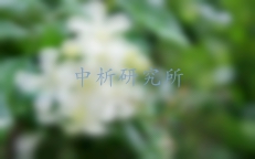茉莉花檢測