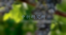 單寧酸檢測