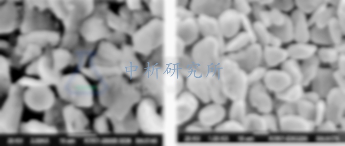 電極材料檢測