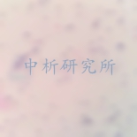 產氣莢膜梭菌檢測