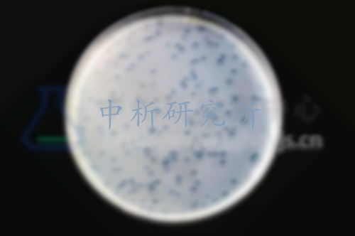 細(xì)菌內(nèi)毒素試驗(yàn)