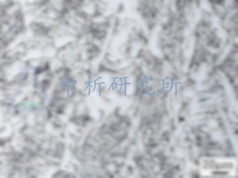 鐵素體檢測