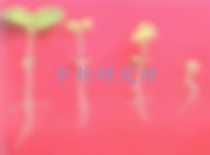 苯磺隆殘留檢測