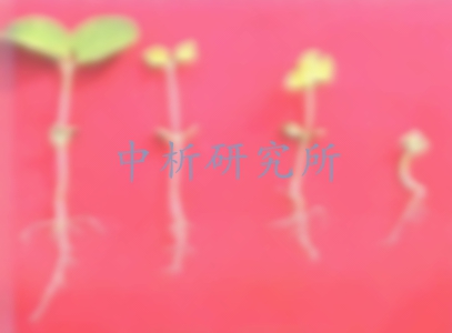 苯磺隆殘留檢測