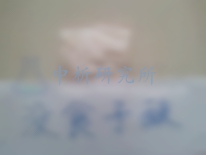 沒食子酸檢測