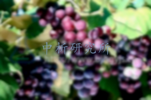 脫落酸檢測(cè)