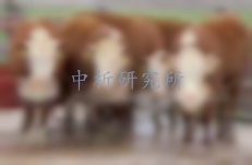 萊克多巴胺檢測