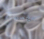 葵花籽檢測
