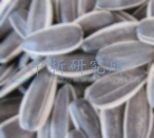 葵花籽檢測