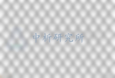 勾花網(wǎng)片檢測