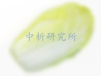 白菜檢測